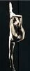 Contortionist Pose